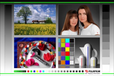 kleuren - Foto Willemz